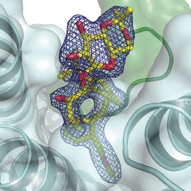 smallmolecule stabilization   gab proteinprotein