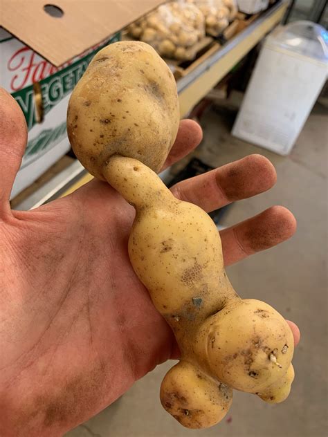 Ugly Vegetables Aloud 1