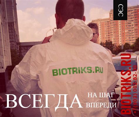 Как избавиться от личинок мокрицы в ванной или туалете в доме - Biotriks