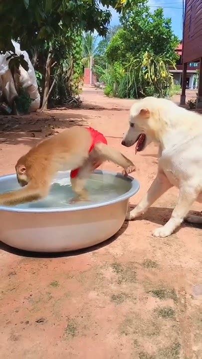Как в воду глядел - YouTube