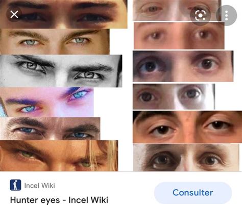 hunter eyes : r/adultsnew