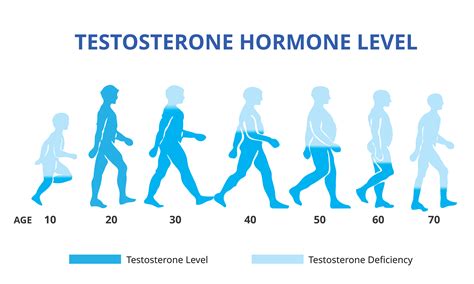 how to lower female testosterone 2