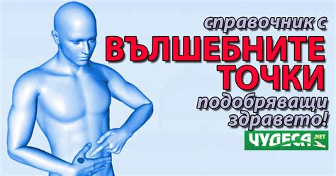 Вълшебни точки за здраве. Точков масаж (рефлексотерапия)