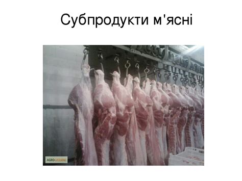 Презентація "Мясні субпродукти"