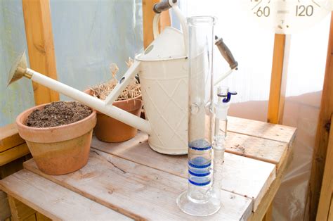 how to clean your bong