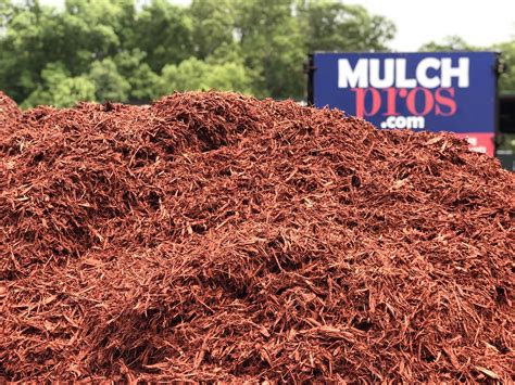 home depot mulch sale 5 for $10 today 8