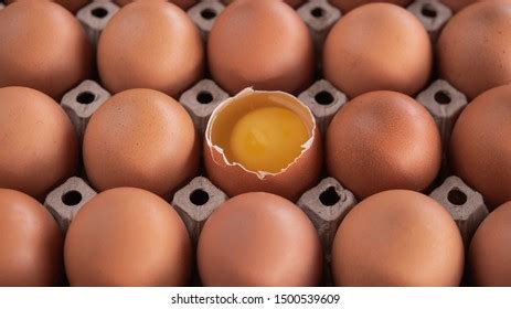 48 Egga Stock Photos, Images & Photography | Shutterstock