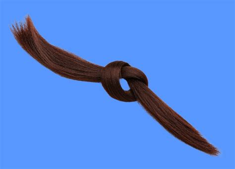 The strength of human hair | How strong is human hair?