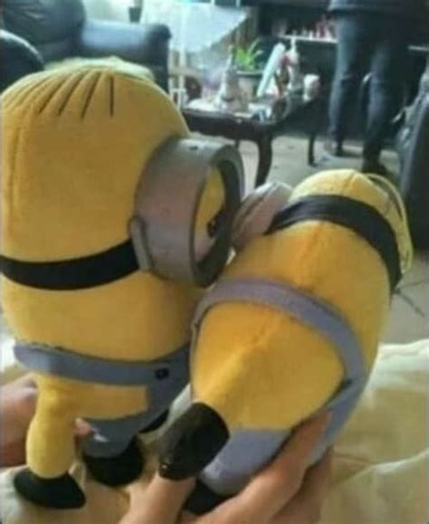 minions besandose | Смешной миньон, Миньоны, Мемы