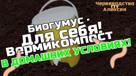 вермикомпост(биогумус) для себя!!! - YouTube