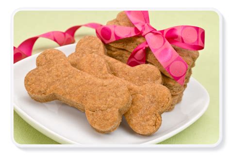 Free Dog Treat Recipe