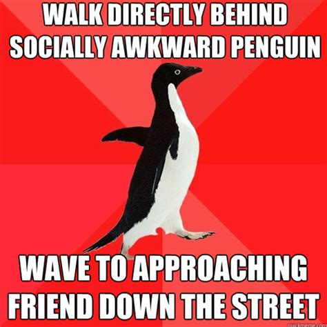 Socially Awkward Penguin - Gallery | eBaum's World