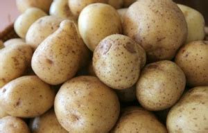 Картофель ранний импорт - купить с доставкой в Москве с Коптевского рынка