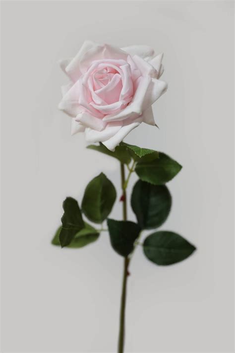 Rózsaszín mű virágzó rózsa 74cm | Ewalds.hu