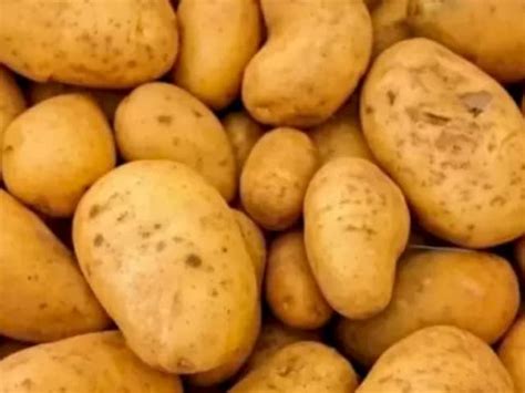 Optical Illusion: Can You Spot The Hidden Needle Among Potatoes Within ...