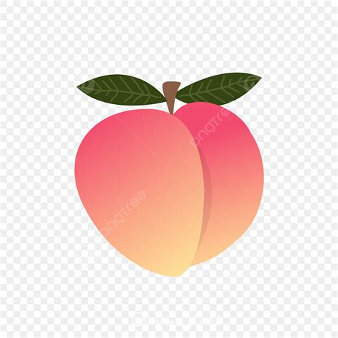 Ping Fruit Clipart PNG, Vector, PSD, and Clipart With Transparent ...