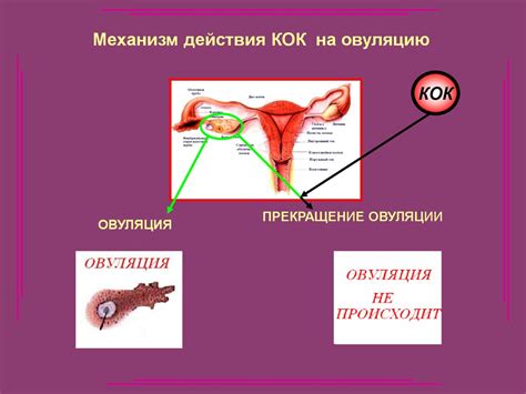 Гормональная контрацепция - презентация онлайн