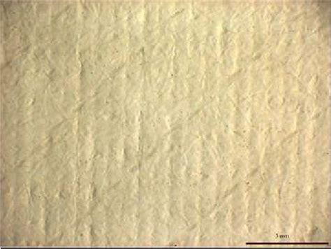 swro membrane surface stereomicroscope image showing concentrate