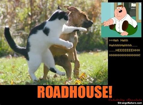 Best Quotes From Roadhouse. QuotesGram