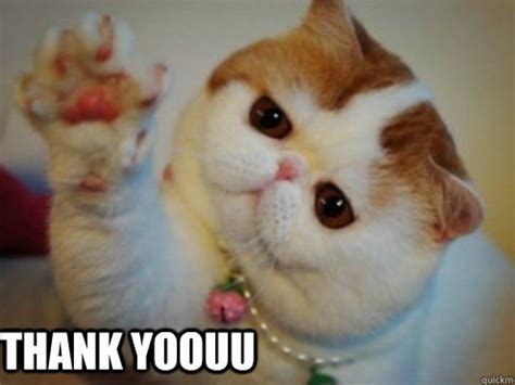 appreciation     meme