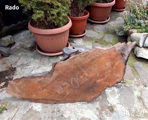 Плотове от Орех Масив в Маси в гр. Троян - ID39140193 | Bazar.bg