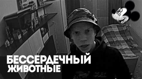 БЕССЕРДЕЧНЫЙ - ЖИВОТНЫЕ (КЛИП НА ПЕСНЮ) - YouTube