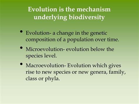 PPT - Chapter 5 Evolution of Biodiversity PowerPoint Presentation, free ...