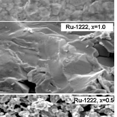 Scanning electron microscopy images of Ru-1212 (top panel), Ru-1222 ...