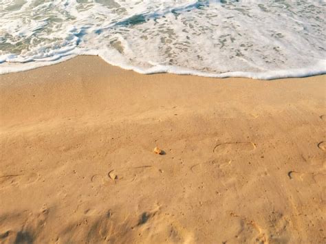 Guyana Beaches - TRAVELBUCKETLIST