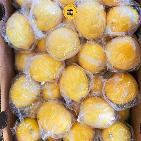 jual jeruk lemon import premium  kg shopee indonesia