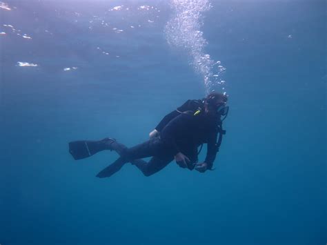 Cressi F1 Frameless Scuba Mask Report - Diving Squad