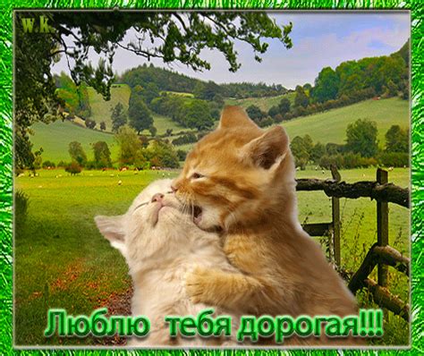 Прикольные картинки о любви со словами (45 фото) 🔥 Прикольные картинки ...