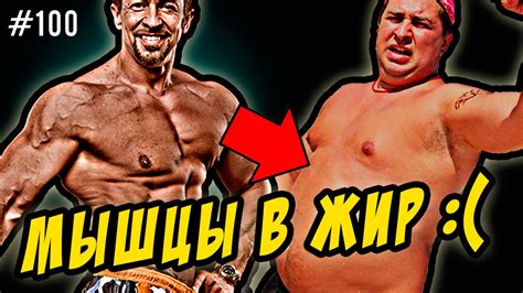 мышцы и жир | как мышцы превращаются в жир,если бросить тренировки ...