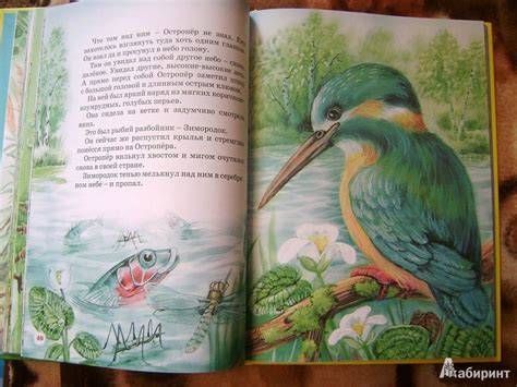 Книга: Большая книга сказок - Виталий Бианки. Купить книгу, читать ...