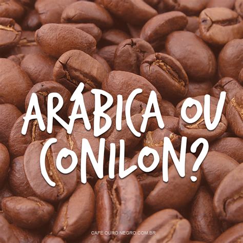 Qual O Valor Do Café Conilon Hoje - Café Arábica ou Conilon: Qual a Diferença?