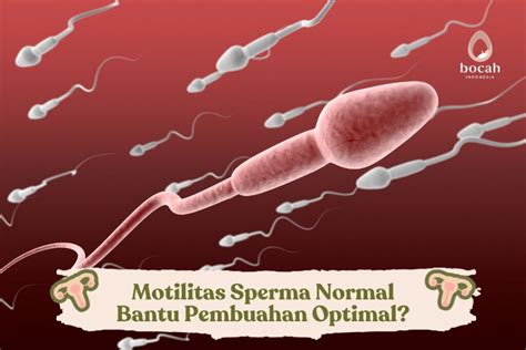 Berapa Motilitas Sperma Normal pada pria