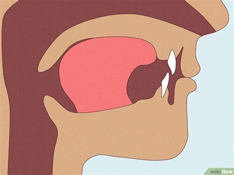 How to Heal a Bitten Tongue: First Aid & Treatment