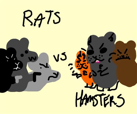 Hamster War - Drawception