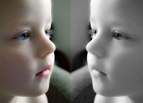 mirror effect  stock photo public domain pictures