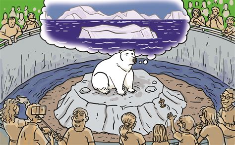 Should zoos still exist? - Animal Rights - Issues Online