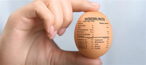 Egg Nutrition Facts and Health Benefits