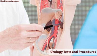 17 Main Urology Tests and Procedures | What is Urology | Healthcheckup