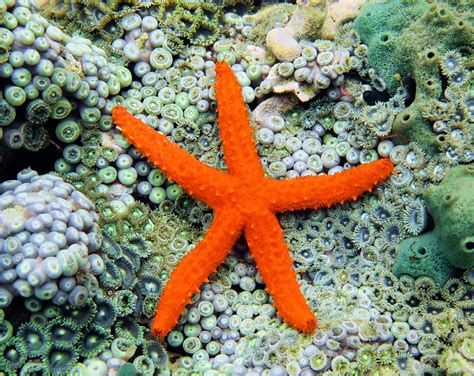 Gals o'gurk erome i was seeking, her rate was lower, and I