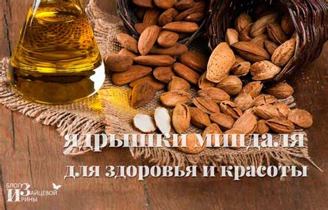 Орехи миндаль. Польза и вред для организма. Калорийность. Фото
