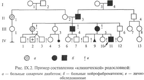 6. Составление родословной