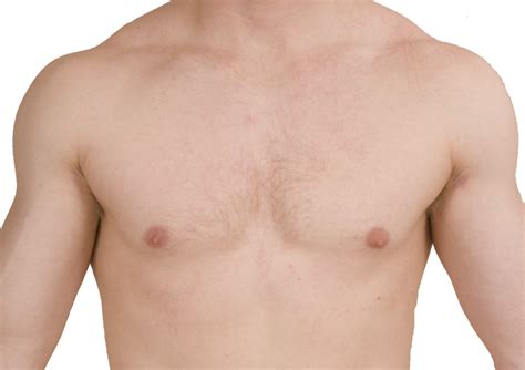 sternal angle surface anatomy