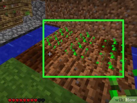how to place seeds in minecraft