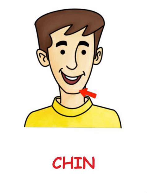 Body Parts Name for Kids with Pictures