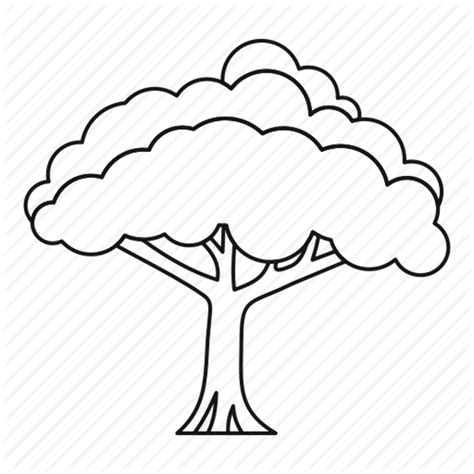 high quality nature clipart tree outline transparent png