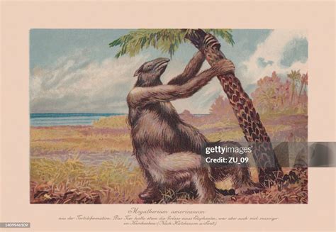 megatherium americanum extinct giant ground sloth chromolithograph